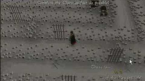 Runescape Maze Glitch