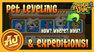 How to Level Pets & Send Them on Expeditions | Animal Jam Tutorial
