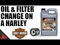 How To Change Oil & Filter on Harley Sportster!