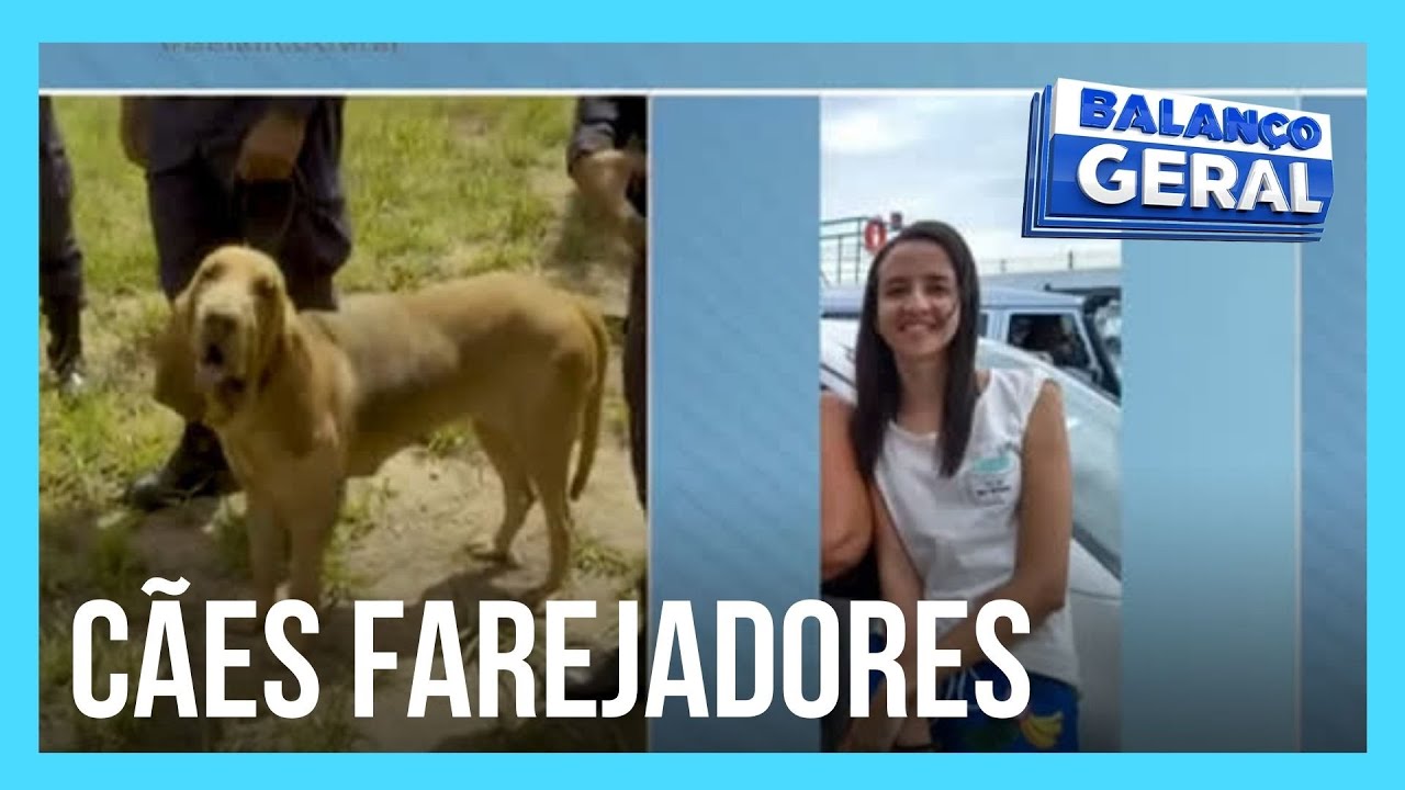 Caso Juliana: cães especializados em localizar mortos entram nas buscas por atendente