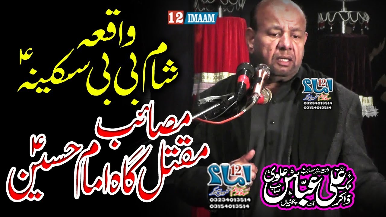 Zakir Ali Abbas Alvi | Majlis | Waqia Sham Bibi Sakina a.s | Masaib Imam Hussain a.s