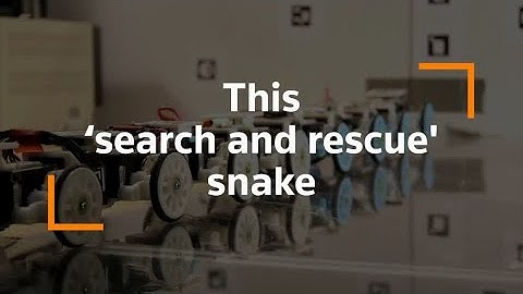 How a robot snake could help save lives