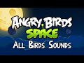 Angry Birds Space All Birds Sounds