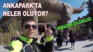 Dinozorlarla Bir gün | Ankapark'ı Kolaçan Ediyoruz|  Ankara'yı geziyorum Vlog