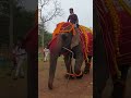 like coming share 💥💥🐘🐘🐘