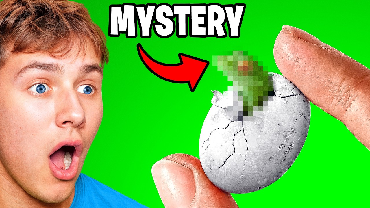 Он вылупил загадочные яйца из зоомагазина.