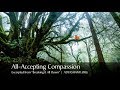 Adyashanti - All-Accepting Compassion