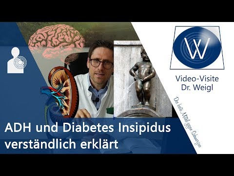 Video: Wann wurde Diabetes insipidus entdeckt?