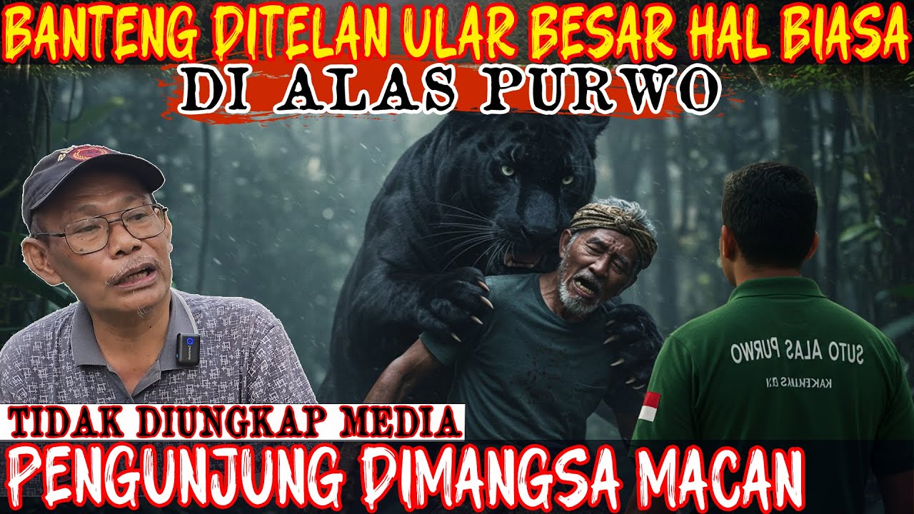 PAK SUTO 2. ULAR BESAR PEMANGSA BANTENG ITU BIASA! TAPI ADA ULAR RAKSASA  DI TENGAH ALAS PURWO..!!