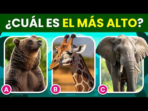 ¿Cuánto sabes de