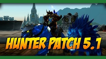 Hunter Patch 5.1 PvP Changes and Nerfs - World of Warcraft: Mists of Pandaria