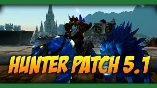 Hunter Patch 5.1 Pvp Changes And Nerfs - World Of Warcraft Mists Of Pandaria