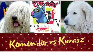 Komondor vs Kuvasz! Őrzővédő kutya bajnokság! DogCast TV