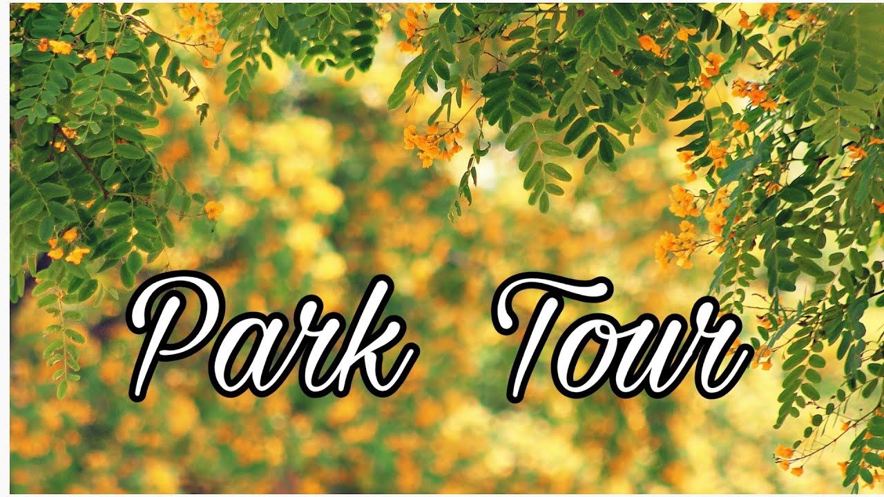 park at tour 18 reviews