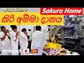 අවුරුදු ගානක් මගේ හිතේ තිබුනදේ ඉටුකරගන්න ලැබුනාvolg63🌸🏡#sakurahome #lifeinjapan