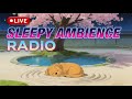 Sleep Ambient Music 🌙 Deep Sleep, Relaxation &amp; Peaceful Night Sounds #sleepmusic #ambientmusic