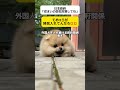 【怒り】日本政府「住まいの防犯対策してね」→お前らが入れたんだろ #shorts