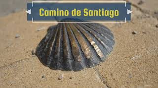 We Are Hiking the Camino de Santiago!!