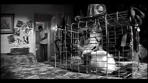 "Sweetwater" Short Film by Writer Theresa Bell | T...