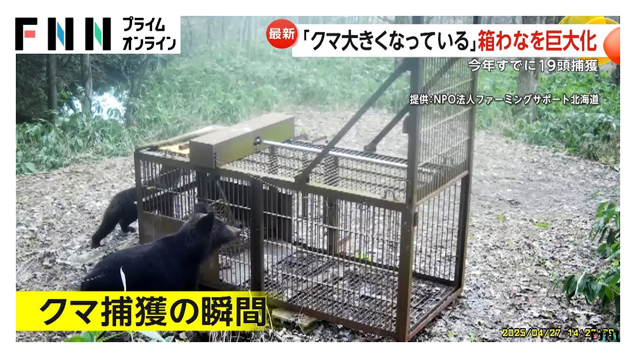 「クマ大きくなっている」巨大箱わなで捕獲の瞬間…25年前襲われ左目の視力失った狩猟歴55年のハンター　最終手段はハチミツ「知恵比べ」