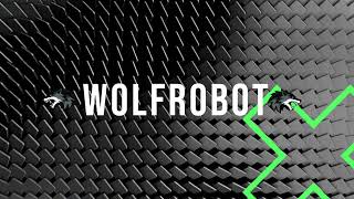 Wolfrobot intro