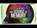 5 Videos on the Science of Memory