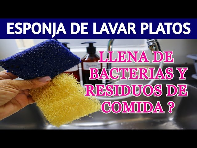 🌺 Cómo mantener TUS ESPONJAS para LAVAR LOS PLATOS sín BACTERIAS y que te  duren MUCHISIMO ! 