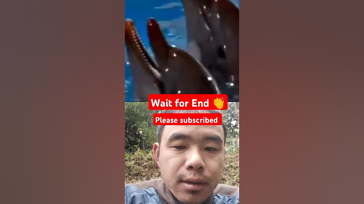 Jab Dolphin trick Me Hui Gadbad#dolphin #swimming #sports #amazing #comedy #funny #trending