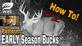 How To Hunt Early Season Bucks