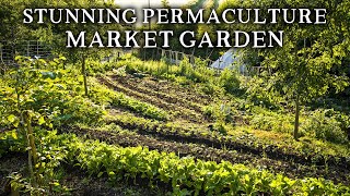 Amazing No Dig Market Garden Using Terraced Beds | Growing Vegetables, Flowers & Herbs for 50 Homes