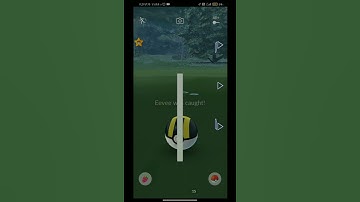 ✨Shiny Eevee✨from field research 🤩|Shiny luck after long time😪|Pokemon Go#shorts#pokemongo