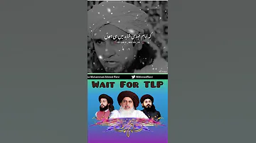 Allama Saad Hussain Rizvi TLP Power Allama Khadim Rizvi Mufti Tariq Masood Ahmed Rizvi 