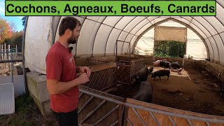 Micro Ranch Écologique | Aux 13 Arpents !