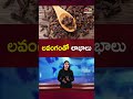 Health Benefits Of Cloves Ntv