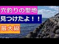 愛知県三河湾の穴釣り・テトラ帯で実釣してきた／根魚・シーバス・キス