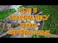 Коп с старом лесу. Пятак, Серебро, Штык!!!!