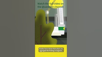 Pigeons vs AI | #ai #machinelearning #philosophy