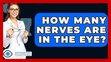 How Many Nerves Are In The Eye? - Optometry Knowledge Base