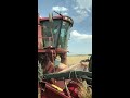 Уборка урожая зерновых Case 2388(Harvesting grain Case 2388)