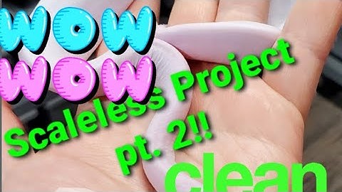 The Scaleless project.. Pt. 2!! The Shed....