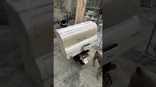 #xuhuong #automobile #dieuhoanhatbai #airconditioner #beptunhat #maylanhnhat #thinhhanh #haihuoc