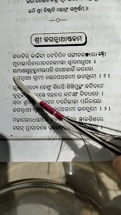 Jagannath ashtakam Odia lyrics 01 #status