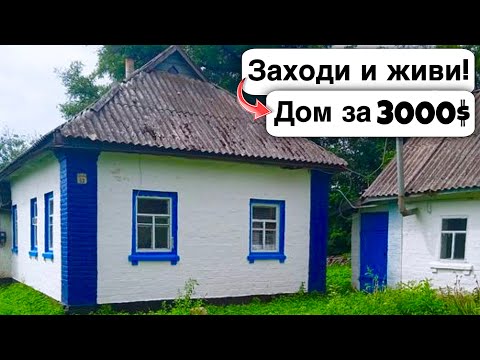 🇺🇦 Заходи и живи! Дом в селе за 3000$ Продажа недвижимости за копейки Всё есть. Уютное Тихое село.