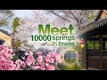 【Discover China Through Towns】- Spring