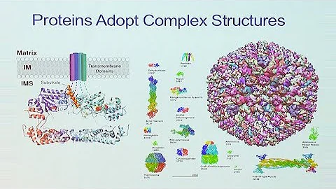 Saturday Science at Scripps Research: Luke Wiseman