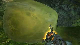 Half-Life 2: I Don't Think Barnacles Have a Weight Limit