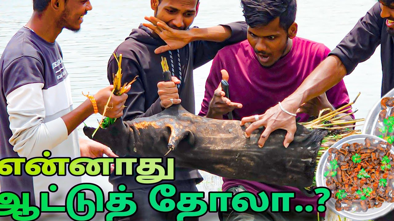 Latest Title & Thumbnail