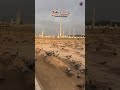 Surah Al-Ankabutكُلُّ نَفْسٍۢ ذَآئِقَةُ ٱلْمَوْتِ| سورة العنكبوت | #shorts #islamicproductions