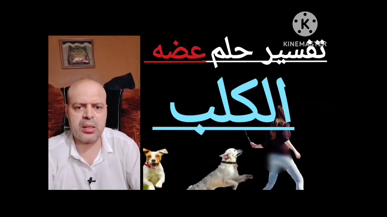 تفسير حلم رؤية عضه الكلب في المنام، الكلب في الرؤيا، الكلب في الحلم، dog in a dream، تفسير الأحلام 