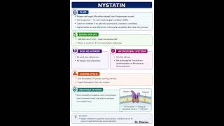 Details Antibiotic Series | Cheat Sheet | Nystatin #antifungal #antibiotics #cheatsheet #trending #shorts News